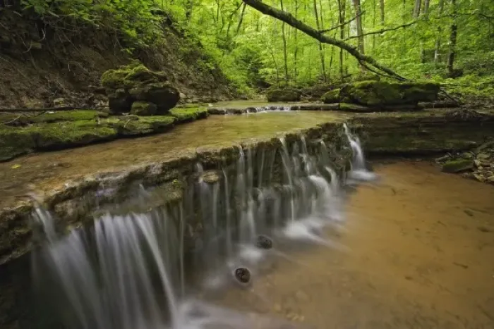 Framed Print : Tiny creek cascading off shelf, near Louisville, Kentucky Framed Print : Tiny creek cascading off shelf, near Louisville, Kentucky