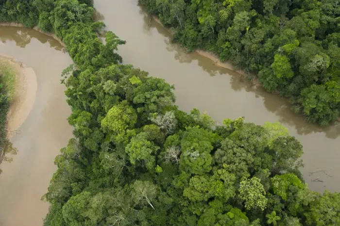 Framed Print : Tiputini River and Rainforest, Yasuni National Park, Amazon Rainforest, ECUADOR