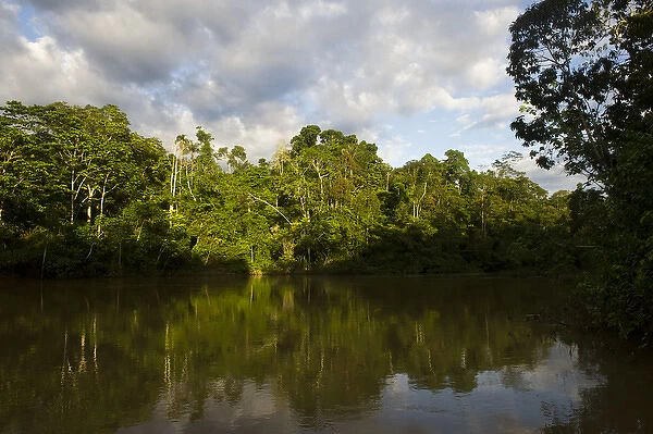 Tiputini River Scenic, Yasuni National Park, Amazon Rainforest, ECUADOR. South America