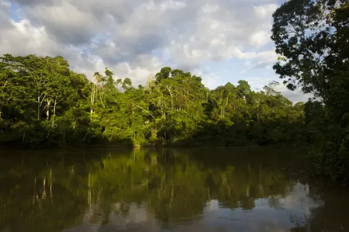Framed Print : Tiputini River Scenic, Yasuni National Park, Amazon Rainforest, ECUADOR. South America Framed Print : Tiputini River Scenic, Yasuni National Park, Amazon Rainforest, ECUADOR. South America