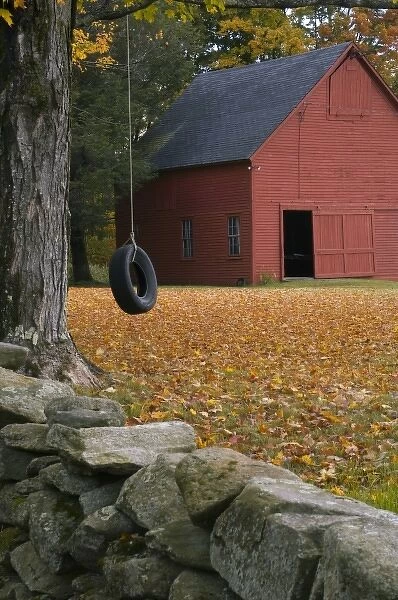Tire swing along a road in Southern Vermont, USA