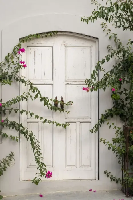 Framed Print : Todos Santos, Mexico. White door in a white wall partly covered with flowers Framed Print : Todos Santos, Mexico. White door in a white wall partly covered with flowers