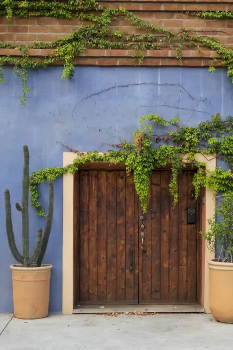 Framed Print : Todos Santos, Mexico. Wooden doorway in a blue stucco wall with ivy Framed Print : Todos Santos, Mexico. Wooden doorway in a blue stucco wall with ivy