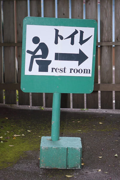 A toilet sign leaves nothing to the imagination in Okinawa, Japan