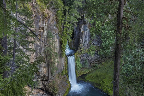Toketee Falls runs over basalt columns in the Umpqua National Forest, Oregon, USA