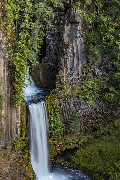 Toketee Falls runs over basalt columns in the Umpqua National Forest, Oregon, USA