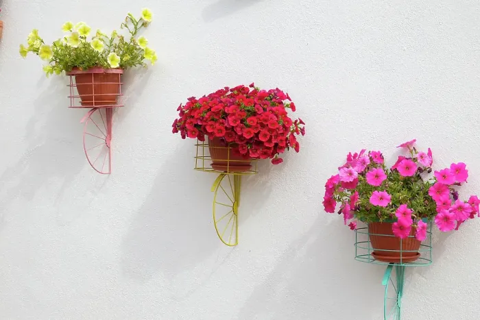 Framed Print : Tomar, Portugal. Pots of colorful flowers blooming in the summer on the street Framed Print : Tomar, Portugal. Pots of colorful flowers blooming in the summer on the street