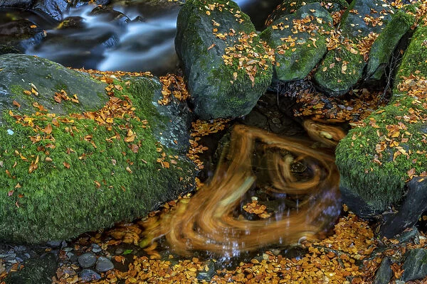 Torc Creek in Killarney National Park, Ireland