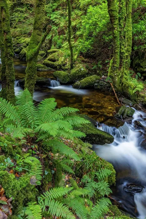 Framed Print : Torq Creek in Killarney National Park Framed Print : Torq Creek in Killarney National Park