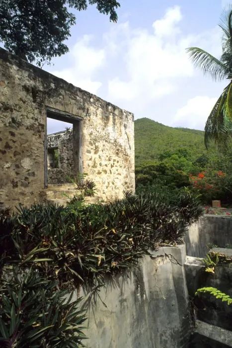 Framed Print : Tourists at Anna Berg Sugar Mills at St Johns Virgin Islands Caribbean Framed Print : Tourists at Anna Berg Sugar Mills at St Johns Virgin Islands Caribbean