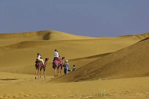 Tourists riding camels into Thar Desert near Jodhpur, India