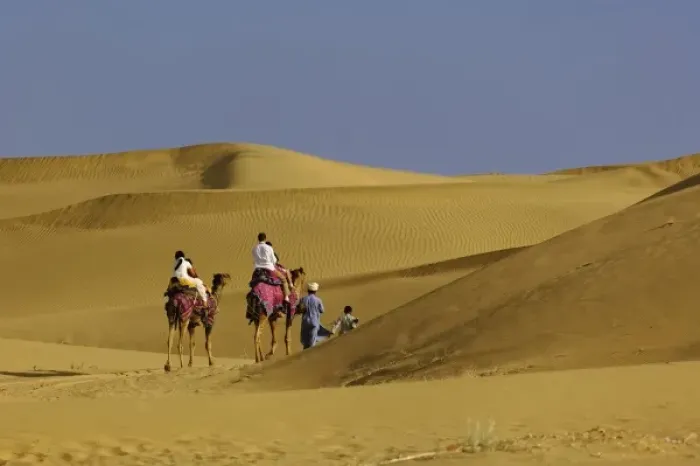 Framed Print : Tourists riding camels into Thar Desert near Jodhpur, India Framed Print : Tourists riding camels into Thar Desert near Jodhpur, India