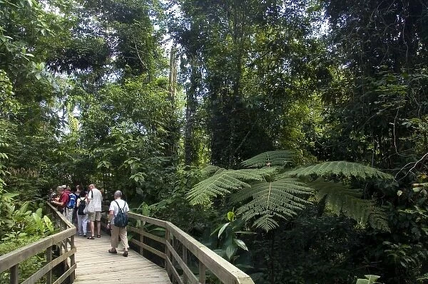 Tourists at the Veragua Rainforest Research and Adventure Park near Limon, Costa Rica