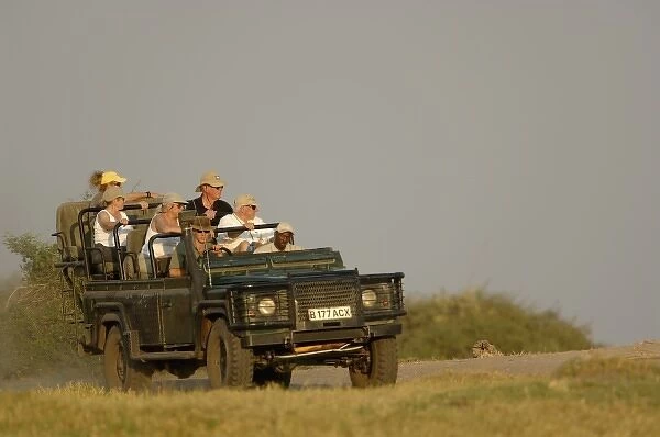 Tourists watching lions. Okavango Delta. BOTSWANA. Southern Africa