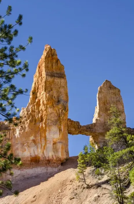 Framed Print : Tower Bridge rock formation, Bryce Canyon National Park Utah, USA Framed Print : Tower Bridge rock formation, Bryce Canyon National Park Utah, USA