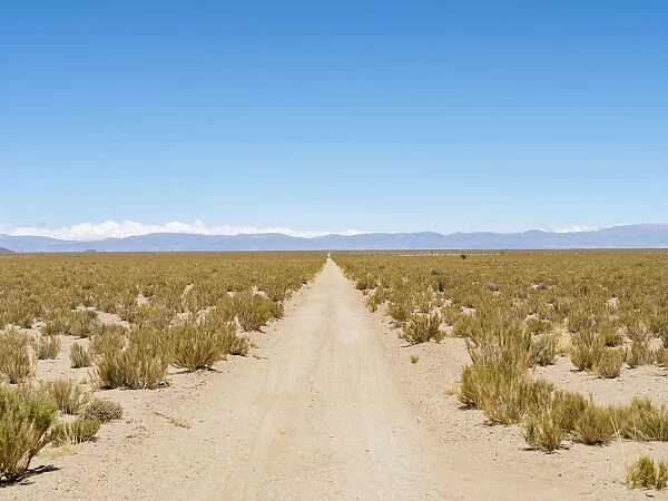 The track RN 38. Landscape near the salt flats Salar Salinas Grandes in the Altiplano, Argentina