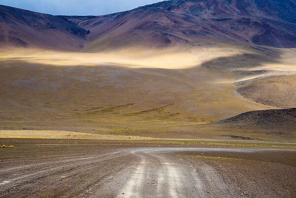 Tracks left by vehicles on desert land, Eduardo Abaroa Andean Fauna National Reserve
