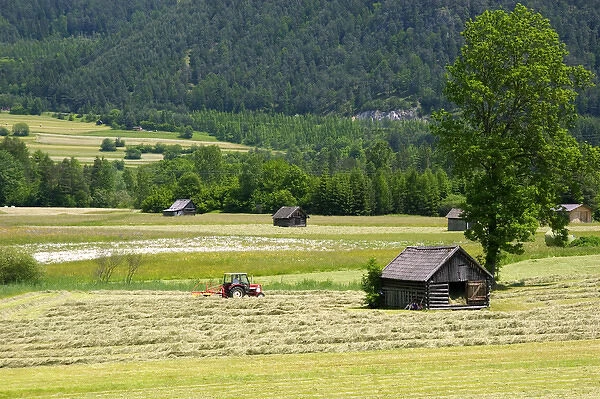 A tractor harvesting a hay field on a farm at Imst, Austria. austria, austrain