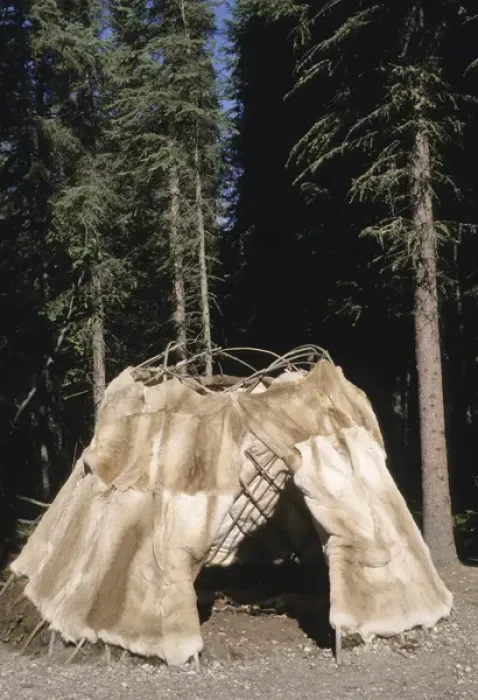 Framed Print : Traditional Athabaskan dome shaped dwelling covered with caribou hides called a wickiup Framed Print : Traditional Athabaskan dome shaped dwelling covered with caribou hides called a wickiup