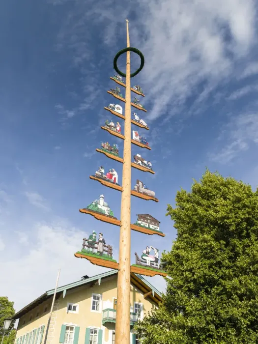 Framed Print : Traditional Bavarian maypole (Maibaum). Village Sachrang in the Chiemgau in the Bavarian Framed Print : Traditional Bavarian maypole (Maibaum). Village Sachrang in the Chiemgau in the Bavarian