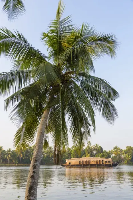 Framed Print : Traditional house boat, Kerala backwaters, nr Alleppey, (or Alappuzha), Kerala, India Framed Print : Traditional house boat, Kerala backwaters, nr Alleppey, (or Alappuzha), Kerala, India