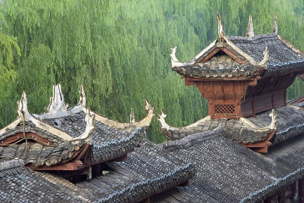 Traditional house with willow trees, Zhenyuan, Guizhou Province, China