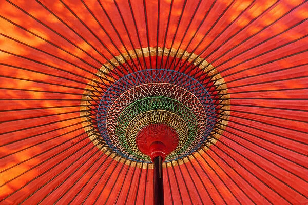 Traditional umbrella; Japan