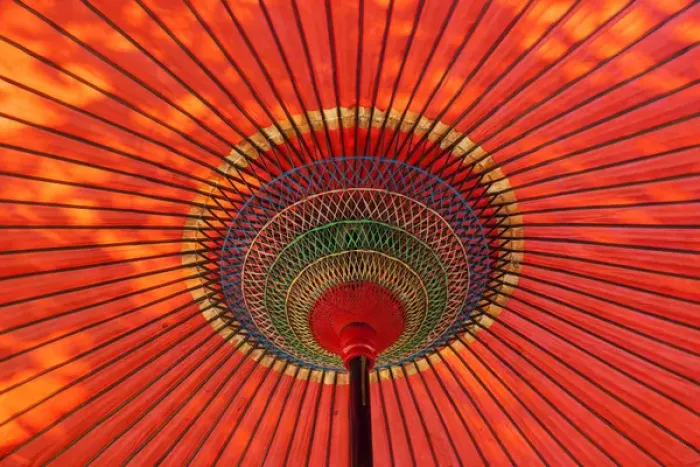 Framed Print : Traditional umbrella; Japan
