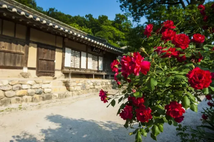 Framed Print : Traditional wooden house in the Yangdong folk village near Gyeongju, South Korea Framed Print : Traditional wooden house in the Yangdong folk village near Gyeongju, South Korea