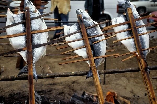 Traditionally the Tlingit used wood stakes and cedar pins to slow cook salmon over