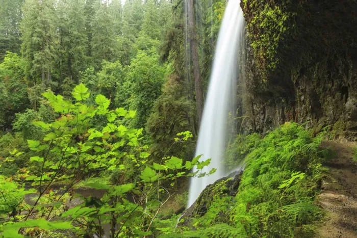 Framed Print : Trail of Ten Falls, Silver Falls State Park, near Silverton, Oregon