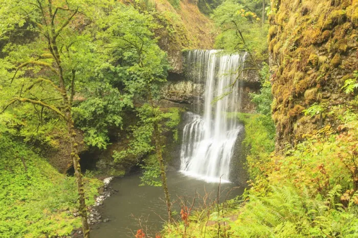 Framed Print : Trail of Ten Falls, Silver Falls State Park, near Silverton, Oregon Framed Print : Trail of Ten Falls, Silver Falls State Park, near Silverton, Oregon