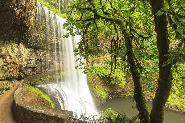Trail of Ten Falls, Silver Falls State Park, near Silverton, Oregon