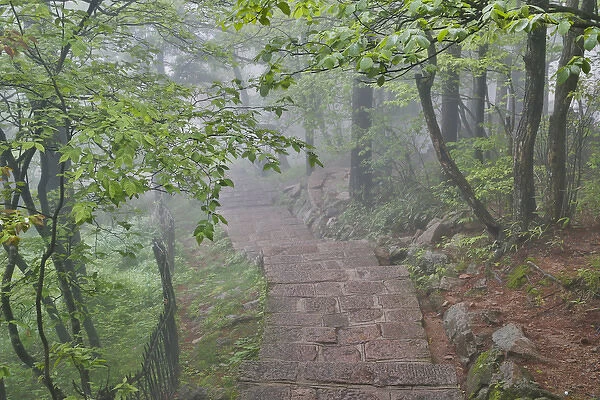 Trail in Fog Yellow Mountains a UNESCO World Heritage Site