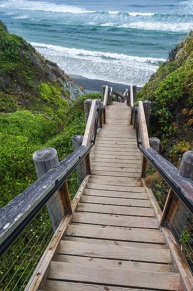 The trail to Sand Dollar Beach, Los Padres National Forest, Big Sur, California USA