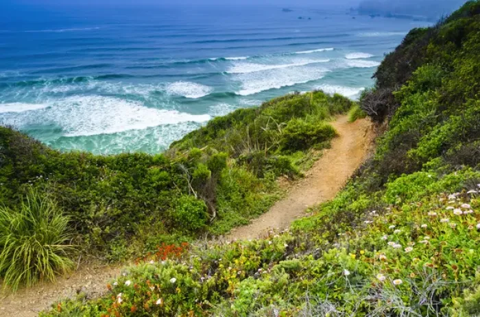 Framed Print : The trail to Sand Dollar Beach, Los Padres National Forest, Big Sur, California USA Framed Print : The trail to Sand Dollar Beach, Los Padres National Forest, Big Sur, California USA