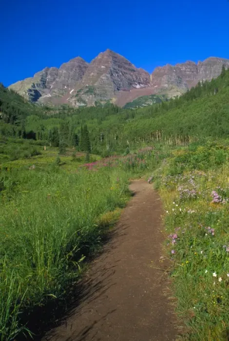 Framed Print : Trail in Snowmass Wilderness with Maroon Bells in background Framed Print : Trail in Snowmass Wilderness with Maroon Bells in background