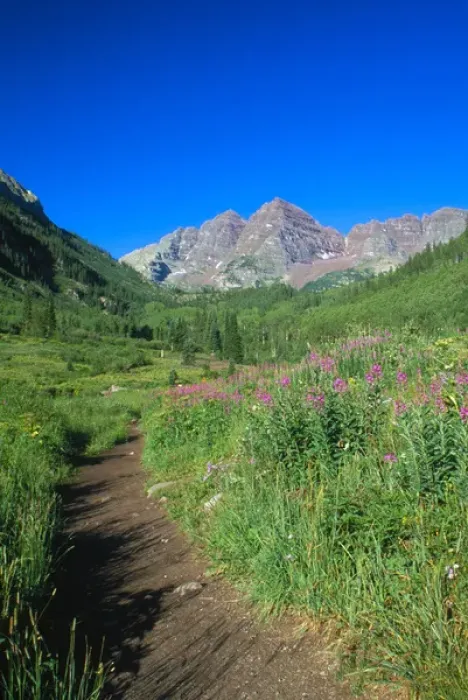 Framed Print : Trail in Snowmass Wilderness with Maroon Bells in background Framed Print : Trail in Snowmass Wilderness with Maroon Bells in background