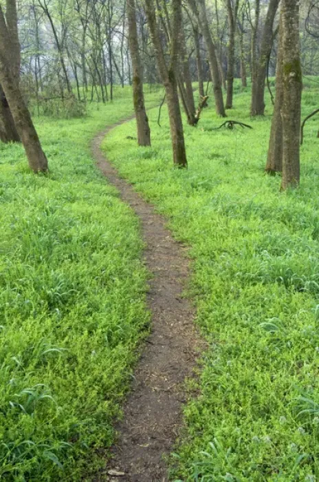 Framed Print : Trail winding through native grasses, Pruitt landing, Log Cabin Trail, Buffalo National River
