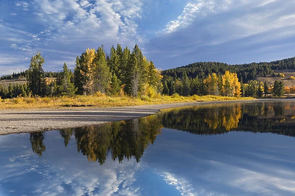 Tranquil autumn scene along Snake River, Grand Teton National Park, Wyoming