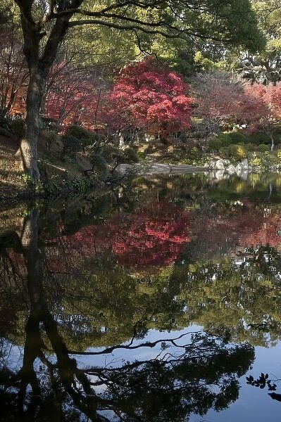 Tranquil fall setting with changing leaves reflected in pond of classical Shukkeien