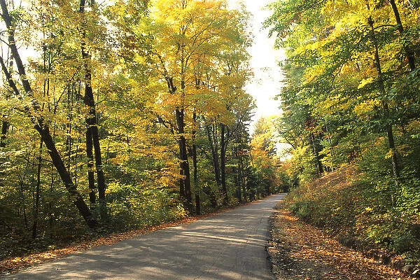 Tranquil Road with Fall Colors in Vermont