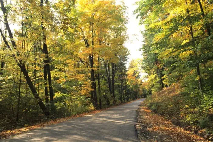 Framed Print : Tranquil Road with Fall Colors in Vermont
