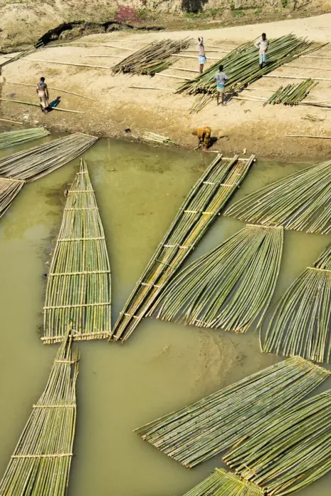 Framed Print : Transporting bamboo timber on the river, Chittagong Division, Bangladesh Framed Print : Transporting bamboo timber on the river, Chittagong Division, Bangladesh