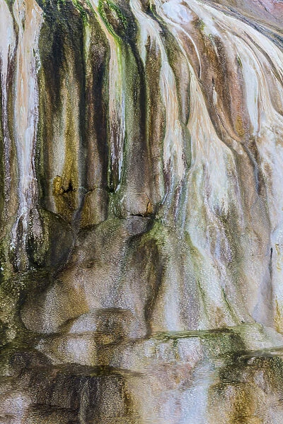Travertine Patterns at Cupid Spring in Yellowstone National Park, Wyoming, USA