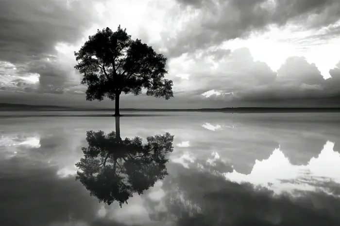 Framed Print : Tree reflection in lake. (AI Generated) Framed Print : Tree reflection in lake. (AI Generated)