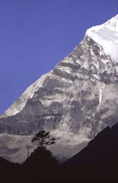 Framed Print : A tree silhouetted against a high Himalayan peak on the outskirts of the trekking town of Namche Framed Print : A tree silhouetted against a high Himalayan peak on the outskirts of the trekking town of Namche