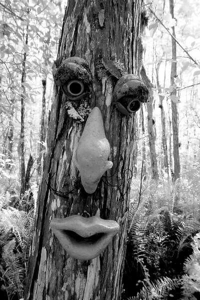 Tree, troll, Infrared, Black & White