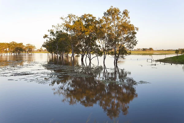 Trees & flooded creek, near Rockhampton, Queensland, Australia