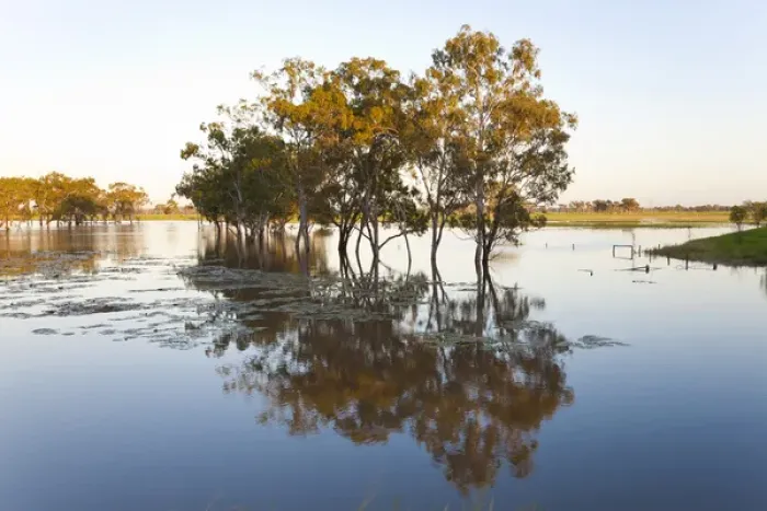 Framed Print : Trees & flooded creek, near Rockhampton, Queensland, Australia